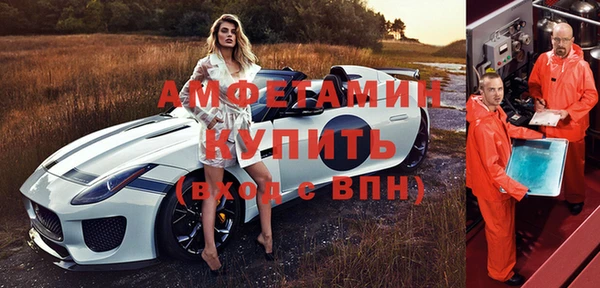 индика Пестово