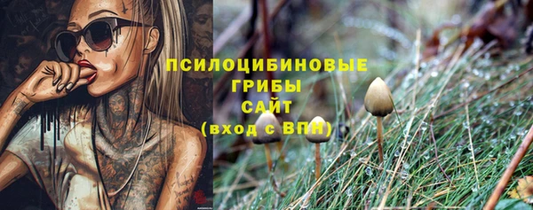 ECSTASY Алзамай