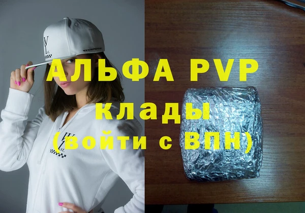 индика Пестово
