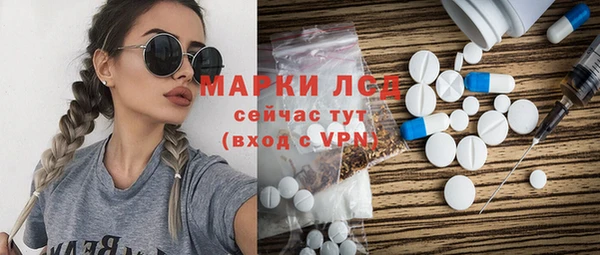индика Пестово