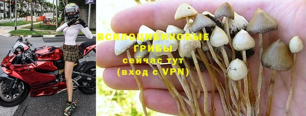 COCAINE Алексеевка