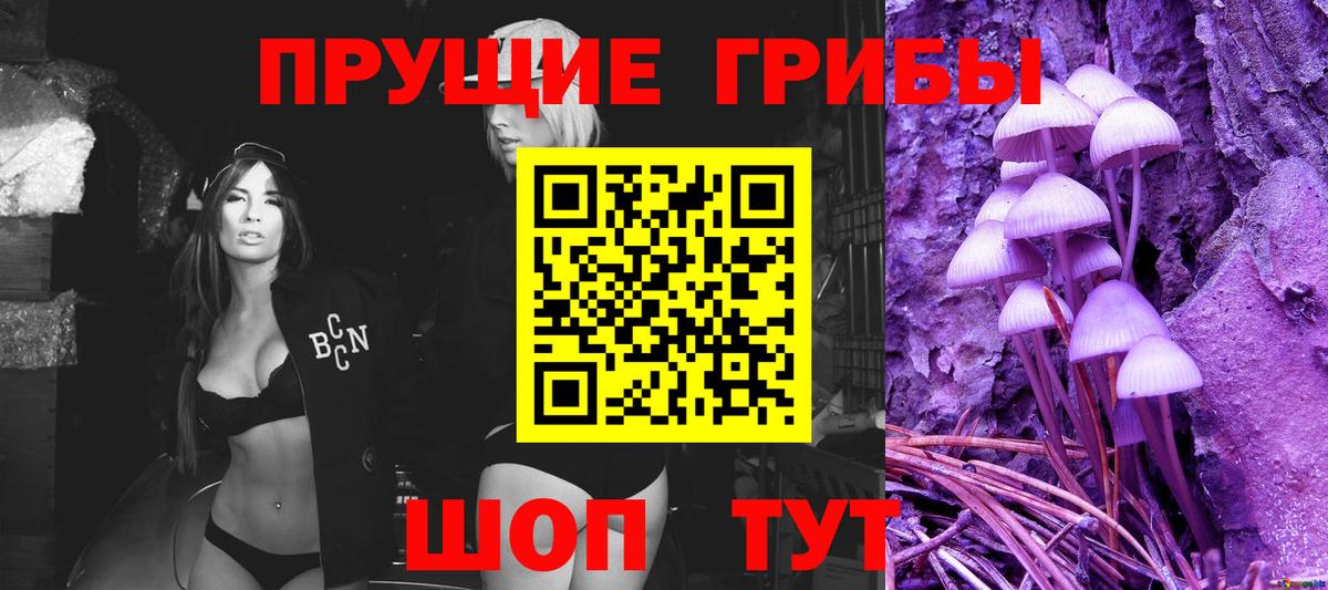 купить закладку  Вход с VPN  Самара  Галлюциногенные грибы Psilocybe 