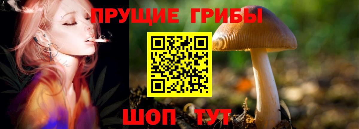 Галлюциногенные грибы MAGIC MUSHROOMS Самара